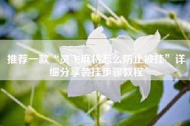 推荐一款“灵飞麻将怎么防止被挂”详细分享装挂步骤教程