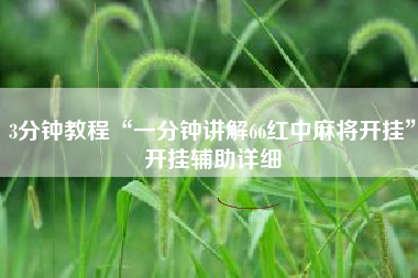 3分钟教程“一分钟讲解66红中麻将开挂”开挂辅助详细