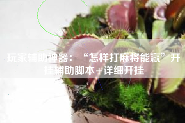 玩家辅助神器：“怎样打麻将能赢”开挂辅助脚本+详细开挂