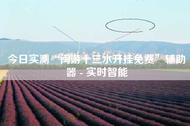 今日实测“闽游十三水开挂免费”辅助器 - 实时智能