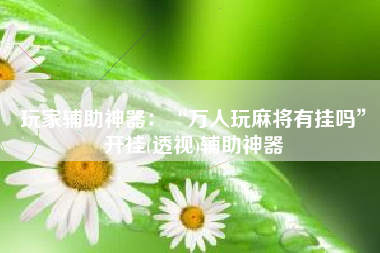 玩家辅助神器：“万人玩麻将有挂吗”开挂(透视)辅助神器