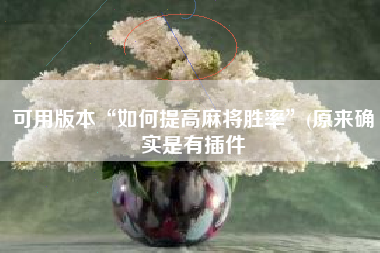 可用版本“如何提高麻将胜率”(原来确实是有插件