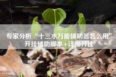 专家分析“十三水万能辅助器怎么用”开挂辅助脚本+详细开挂