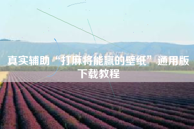 真实辅助“打麻将能赢的壁纸”通用版下载教程