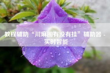 教程辅助“川麻圈有没有挂”辅助器 - 实时智能 教程辅助“川麻圈有没有挂”辅助器 - 实时智能