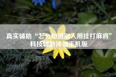 真实辅助“怎么知道别人用挂打麻将”科技辅助神器手机版
