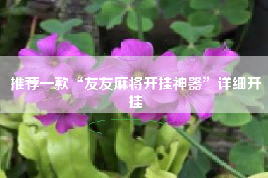 推荐一款“友友麻将开挂神器”详细开挂