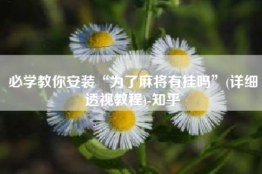 必学教你安装“为了麻将有挂吗”(详细透视教程)-知乎