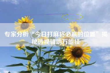 专家分析“今日打麻将必赢的位置”揭秘透视辅助万能挂