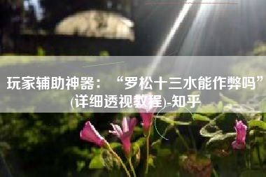 玩家辅助神器：“罗松十三水能作弊吗”(详细透视教程)-知乎
