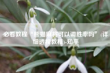 必看教程“熊猫麻将可以调胜率吗”(详细透视教程)-知乎