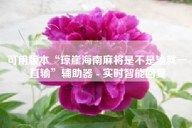 可用版本“琼崖海南麻将是不是输就一直输”辅助器 - 实时智能回复