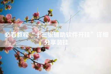 必看教程“十三张辅助软件开挂”详细分享装挂