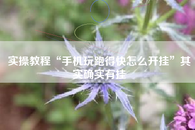 实操教程“手机玩跑得快怎么开挂”其实确实有挂