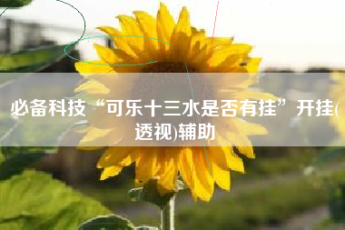 必备科技“可乐十三水是否有挂”开挂(透视)辅助 必备科技“可乐十三水是否有挂”开挂(透视)辅助