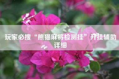 玩家必搜“熊猫麻将检测挂”开挂辅助详细