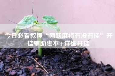 今日必看教程“网跃麻将有没有挂”开挂辅助脚本+详细开挂