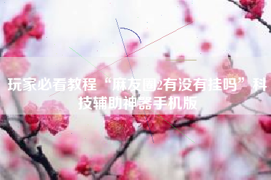 玩家必看教程“麻友圈2有没有挂吗”科技辅助神器手机版