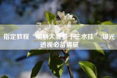 指定教程“朋朋大菠萝十三水挂”(曝光透视必备猫腻