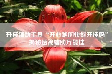 开挂辅助工具“开心跑的快能开挂吗”揭秘透视辅助万能挂 开挂辅助工具“开心跑的快能开挂吗”揭秘透视辅助万能挂