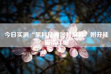 今日实测“黑科技神器打麻将”附开挂脚本详细