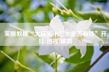 实操教程“大玩家十三水是否有挂”开挂(透视)辅助