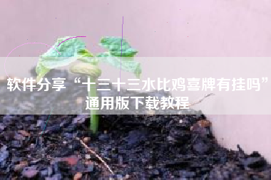 软件分享“十三十三水比鸡喜牌有挂吗”通用版下载教程