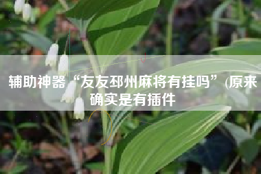辅助神器“友友邳州麻将有挂吗”(原来确实是有插件