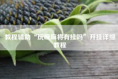 教程辅助“玩呗麻将有挂吗”开挂详细教程