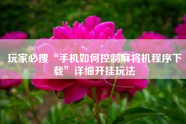 玩家必搜“手机如何控制麻将机程序下载”详细开挂玩法