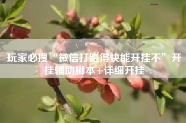 玩家必搜“微信打跑得快能开挂不”开挂辅助脚本+详细开挂