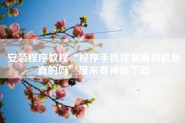 安装程序教程“程序手机控制麻将机是真的吗”原来有神器下载