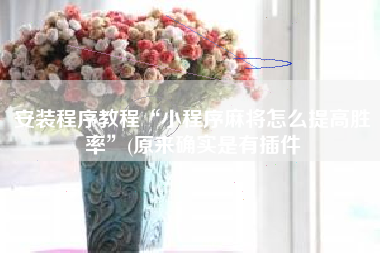 安装程序教程“小程序麻将怎么提高胜率”(原来确实是有插件 安装程序教程“小程序麻将怎么提高胜率”(原来确实是有插件