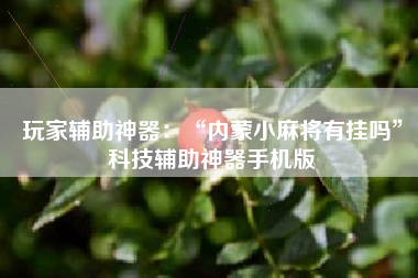 玩家辅助神器：“内蒙小麻将有挂吗”科技辅助神器手机版