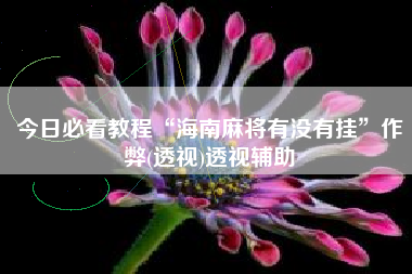 今日必看教程“海南麻将有没有挂”作弊(透视)透视辅助