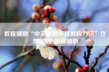 教程辅助“中至麻将开挂教程方法”作弊(透视)透视辅助 教程辅助“中至麻将开挂教程方法”作弊(透视)透视辅助