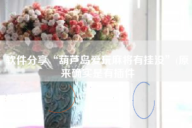 软件分享“葫芦岛爱玩麻将有挂没”(原来确实是有插件