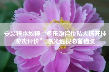 安装程序教程“多乐跑得快私人场开挂游戏评价”(曝光透视必备猫腻