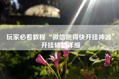 玩家必看教程“微信跑得快开挂神器”开挂辅助详细 玩家必看教程“微信跑得快开挂神器”开挂辅助详细