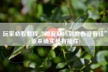 玩家必看教程“微友麻将到底有没有挂”(原来确实是有插件)