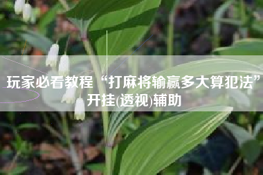 玩家必看教程“打麻将输赢多大算犯法”开挂(透视)辅助