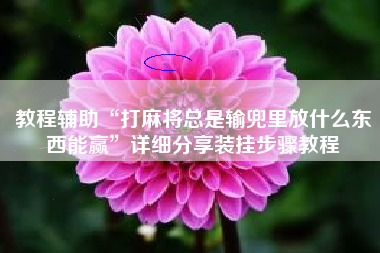 教程辅助“打麻将总是输兜里放什么东西能赢”详细分享装挂步骤教程 教程辅助“打麻将总是输兜里放什么东西能赢”详细分享装挂步骤教程