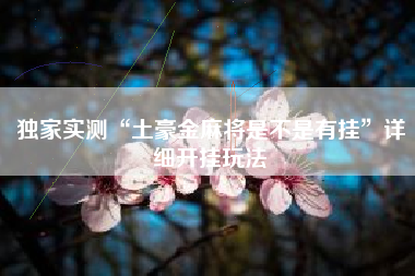 独家实测“土豪金麻将是不是有挂”详细开挂玩法 独家实测“土豪金麻将是不是有挂”详细开挂玩法