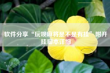 软件分享“玩呗麻将是不是有挂”附开挂脚本详细