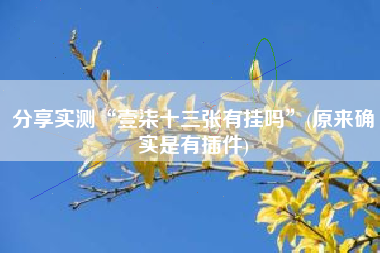 分享实测“壹柒十三张有挂吗”(原来确实是有插件)