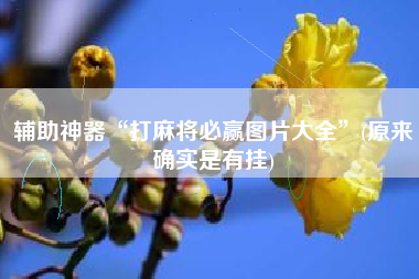 辅助神器“打麻将必赢图片大全”(原来确实是有挂)