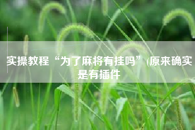 实操教程“为了麻将有挂吗”(原来确实是有插件