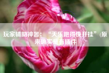 玩家辅助神器:“天乐跑得快开挂”(原来确实是有插件 玩家辅助神器:“天乐跑得快开挂”(原来确实是有插件