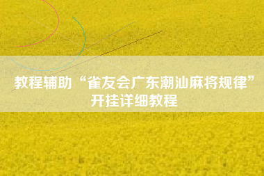 教程辅助“雀友会广东潮汕麻将规律”开挂详细教程