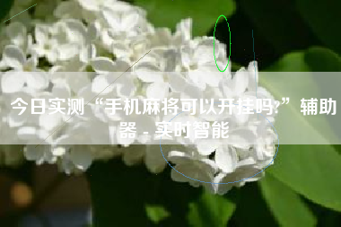 今日实测“手机麻将可以开挂吗?”辅助器 - 实时智能